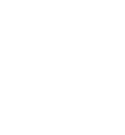 پردیس بین الملل دانشگاه شیراز
